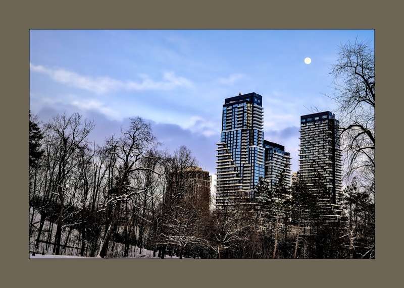 A Scene from Serena Gundy Park in a Winter Evening- 01